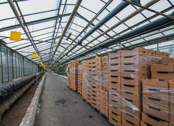 The existing agricultural complex in Kherson